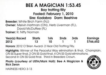 2013 Harness Heroes #3 Bee A Magician Back